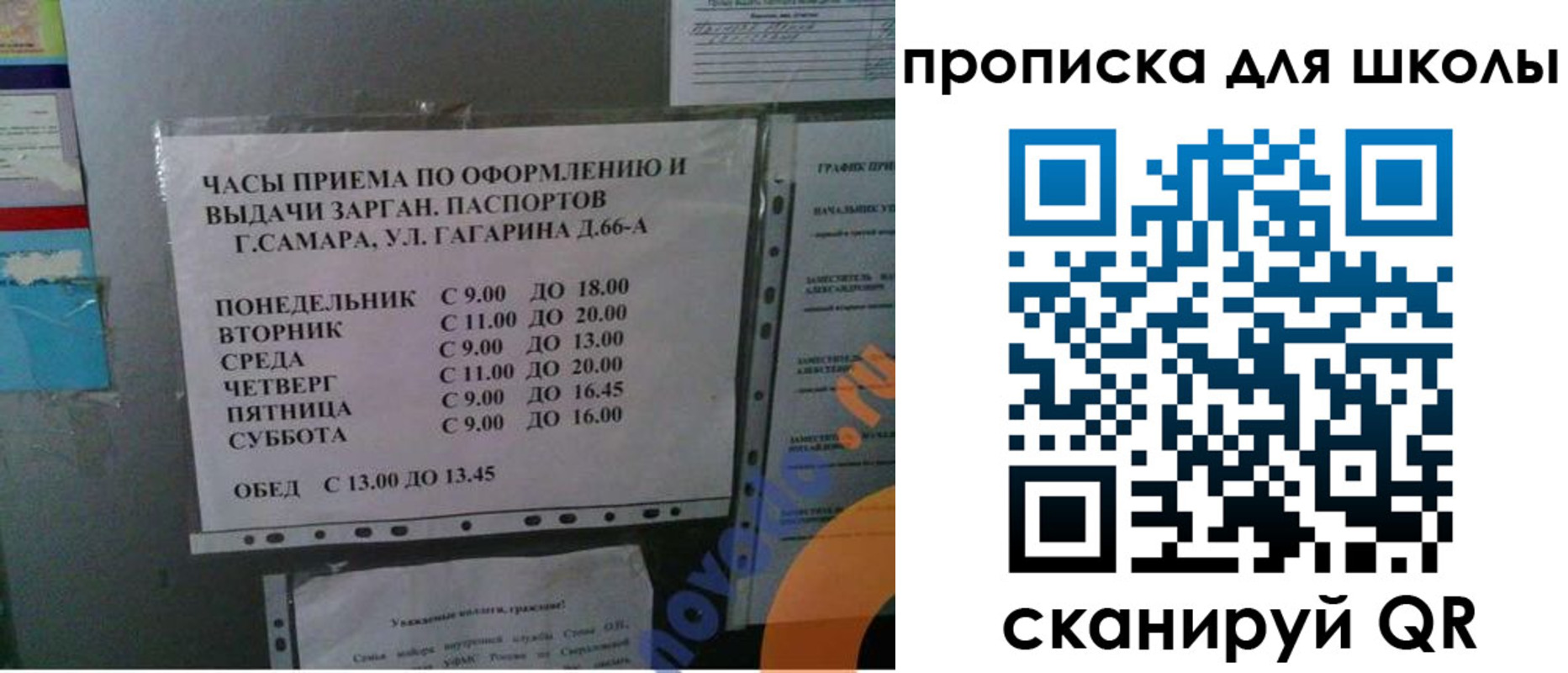 где прописаться в Светлогорске