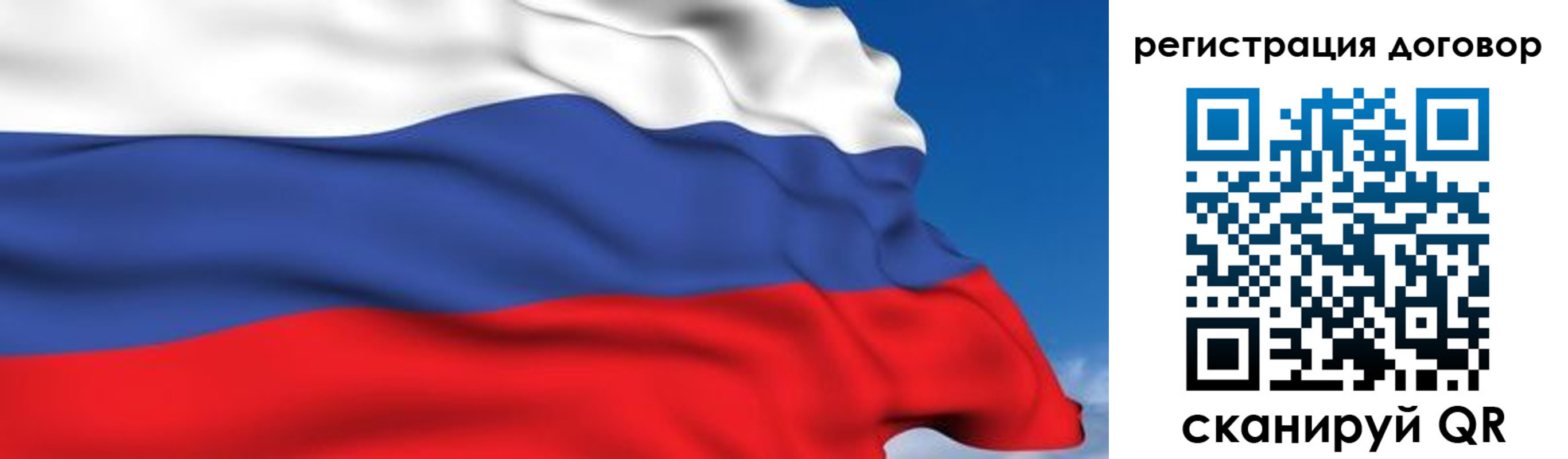 временная регистрация надежно в Светлогорске