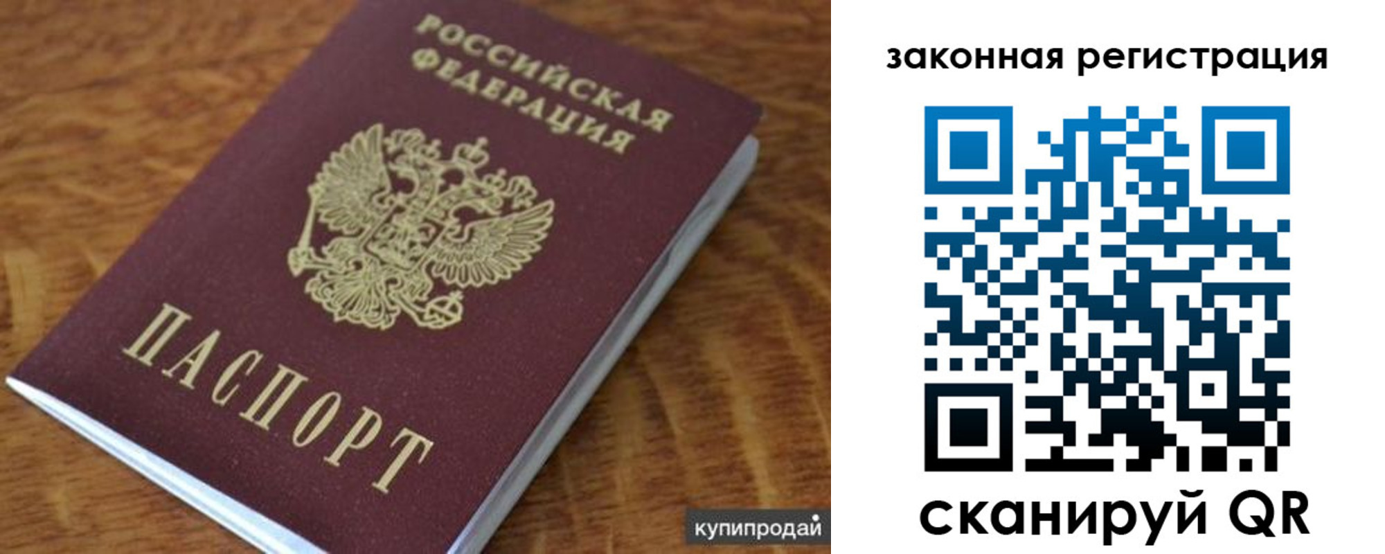 прописка гарантия в Светлогорске